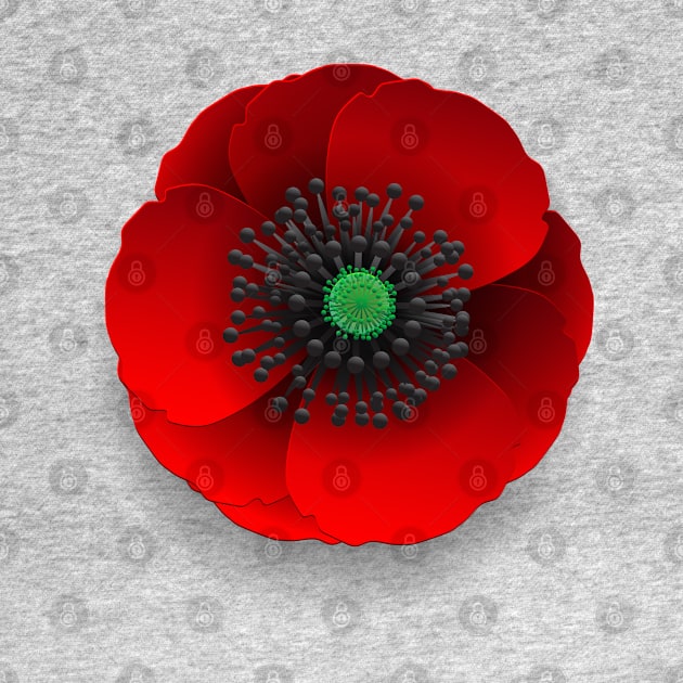 Remberance Day Poppy Flower by Church Store